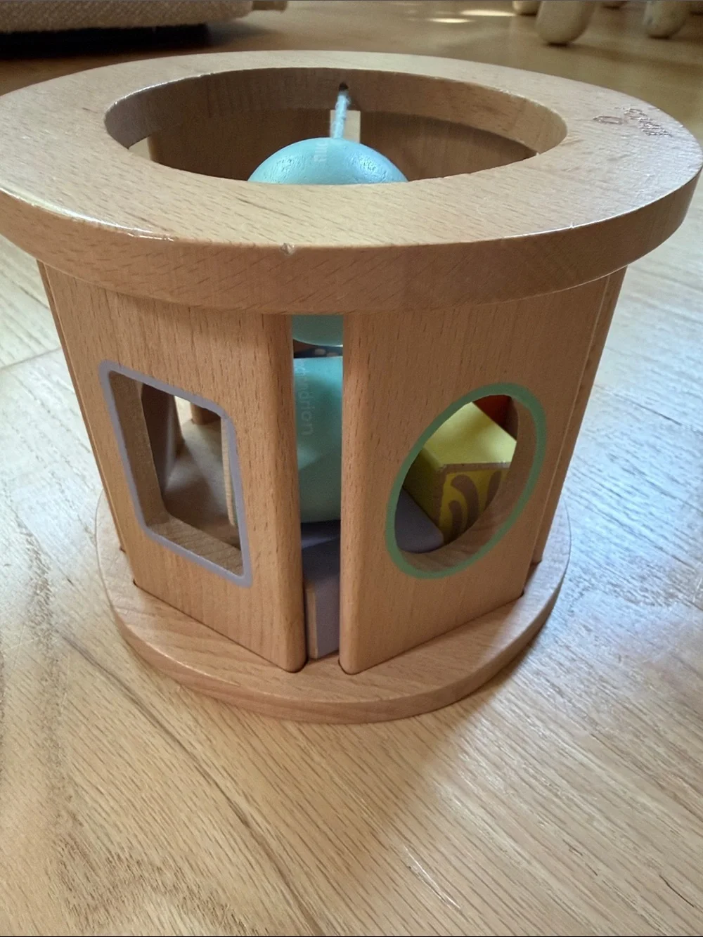 KiwiCo Biology Blocks Shape Sorter